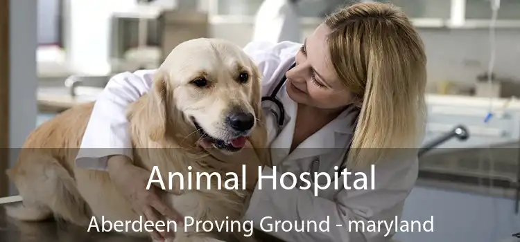 Animal Hospital Aberdeen Proving Ground - maryland