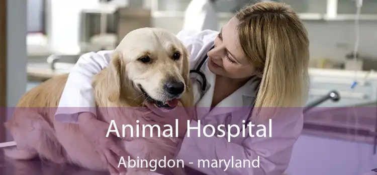 Animal Hospital Abingdon - maryland