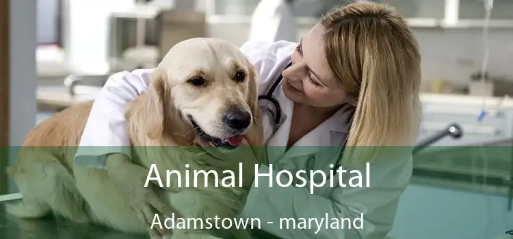 Animal Hospital Adamstown - maryland