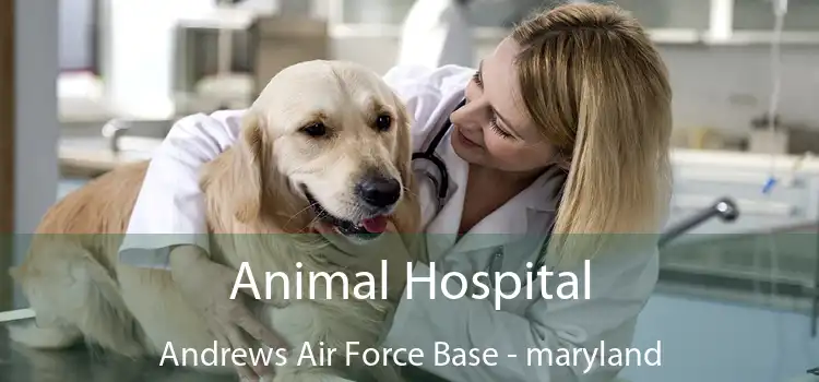 Animal Hospital Andrews Air Force Base - maryland