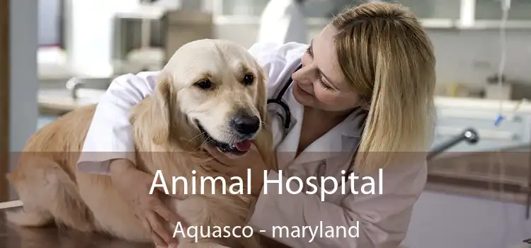 Animal Hospital Aquasco - maryland