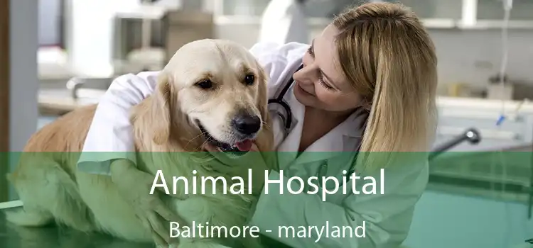 Animal Hospital Baltimore - maryland