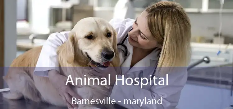 Animal Hospital Barnesville - maryland