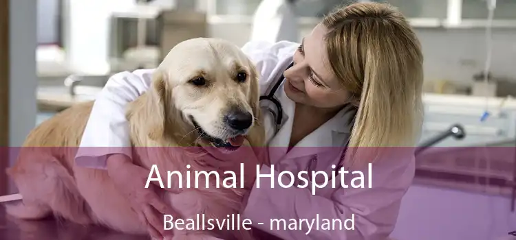 Animal Hospital Beallsville - maryland