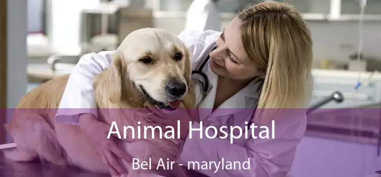 Animal Hospital Bel Air - maryland