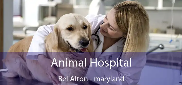 Animal Hospital Bel Alton - maryland