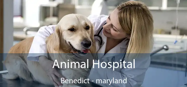 Animal Hospital Benedict - maryland