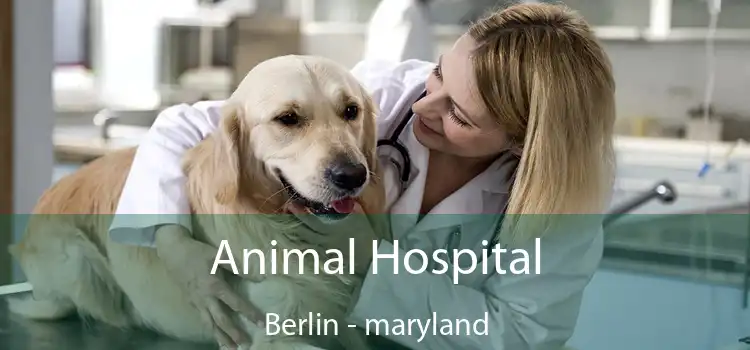 Animal Hospital Berlin - maryland