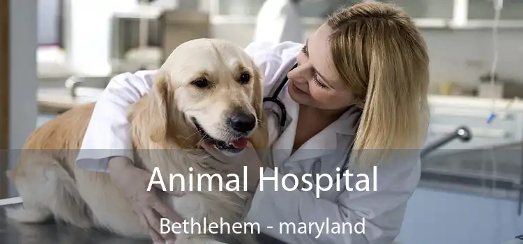 Animal Hospital Bethlehem - maryland