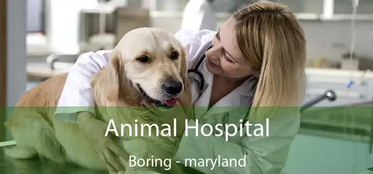 Animal Hospital Boring - maryland