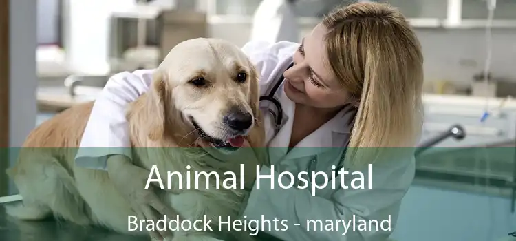 Animal Hospital Braddock Heights - maryland