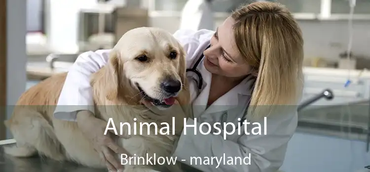 Animal Hospital Brinklow - maryland