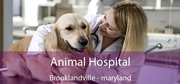 Animal Hospital Brooklandville - maryland