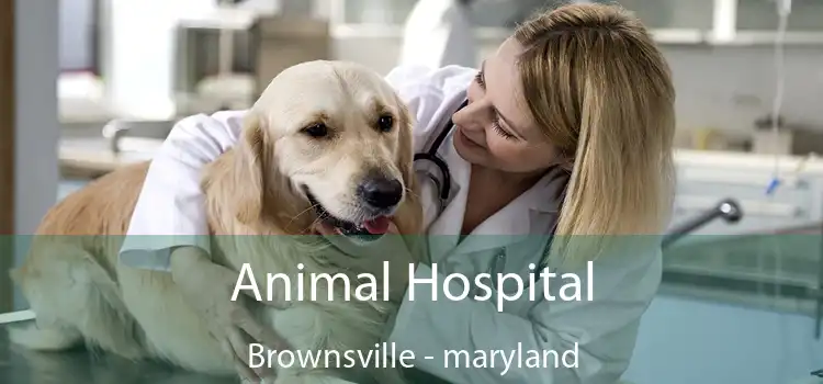 Animal Hospital Brownsville - maryland