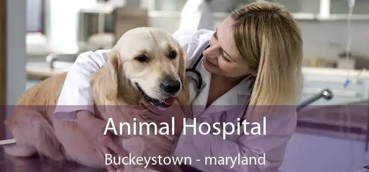 Animal Hospital Buckeystown - maryland