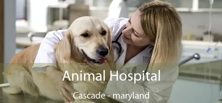 Animal Hospital Cascade - maryland