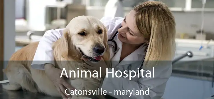 Animal Hospital Catonsville - maryland