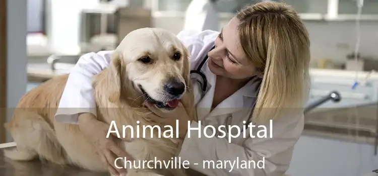 Animal Hospital Churchville - maryland