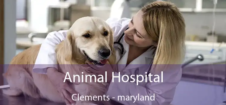 Animal Hospital Clements - maryland