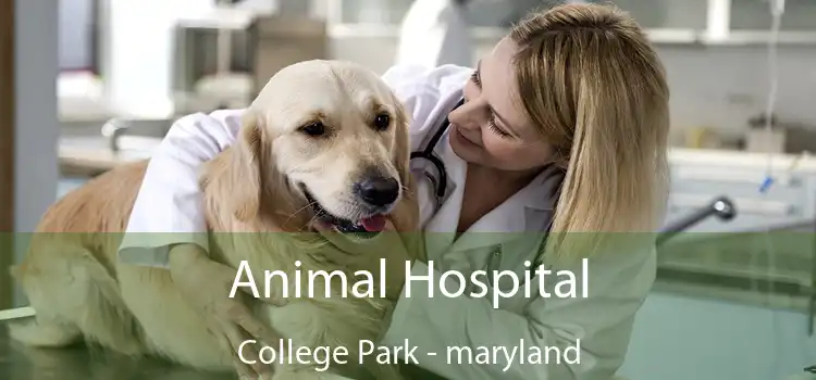 Animal Hospital College Park - maryland