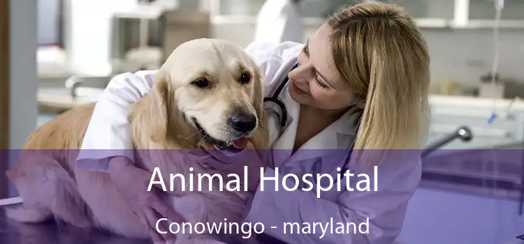 Animal Hospital Conowingo - maryland