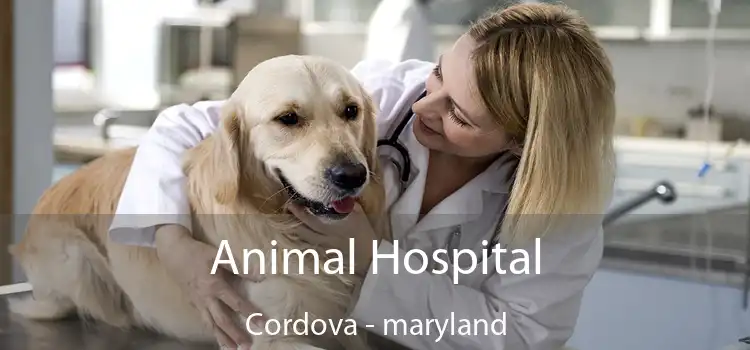 Animal Hospital Cordova - maryland