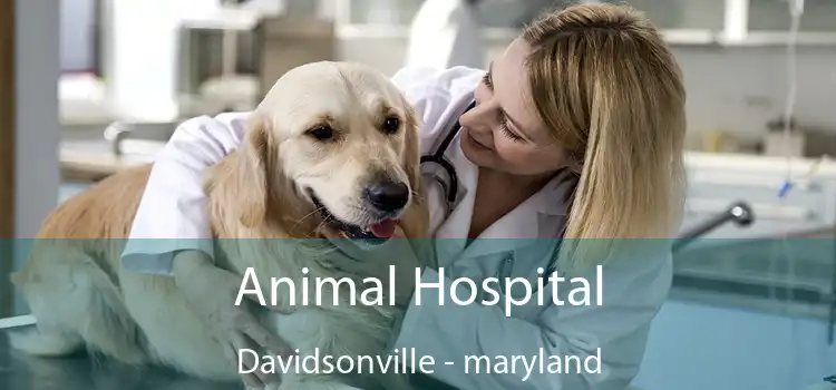 Animal Hospital Davidsonville - maryland