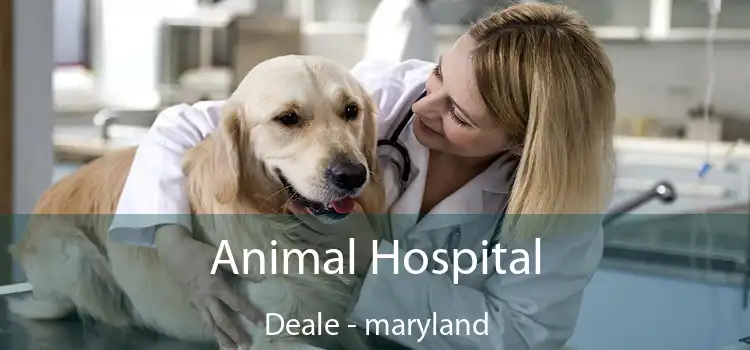 Animal Hospital Deale - maryland