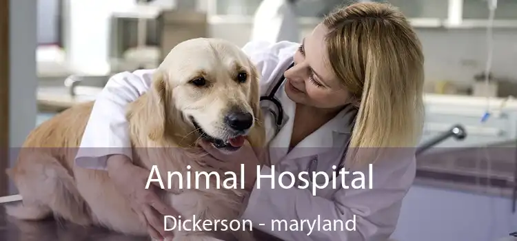 Animal Hospital Dickerson - maryland