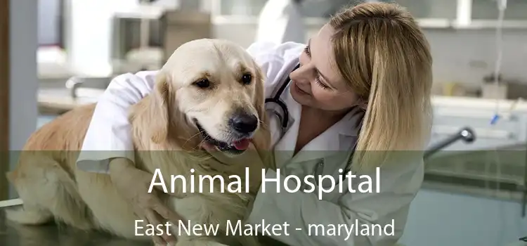 Animal Hospital East New Market - maryland