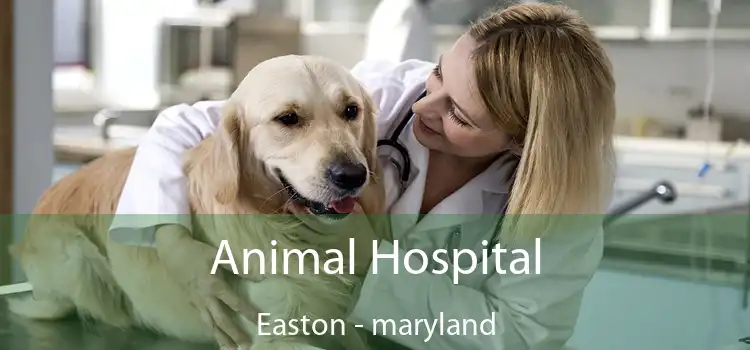 Animal Hospital Easton - maryland