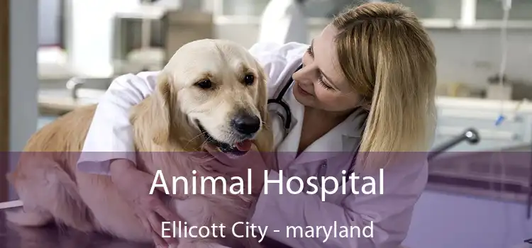 Animal Hospital Ellicott City - maryland