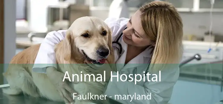 Animal Hospital Faulkner - maryland