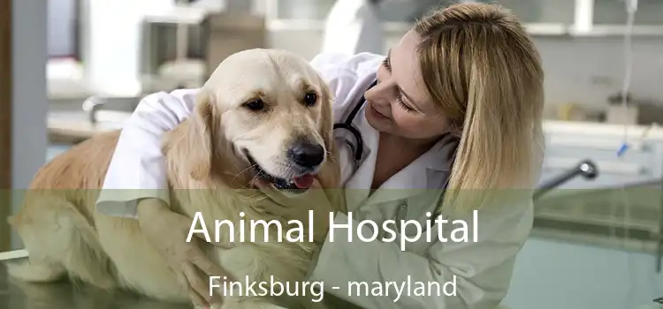 Animal Hospital Finksburg - maryland