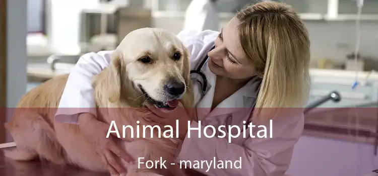 Animal Hospital Fork - maryland