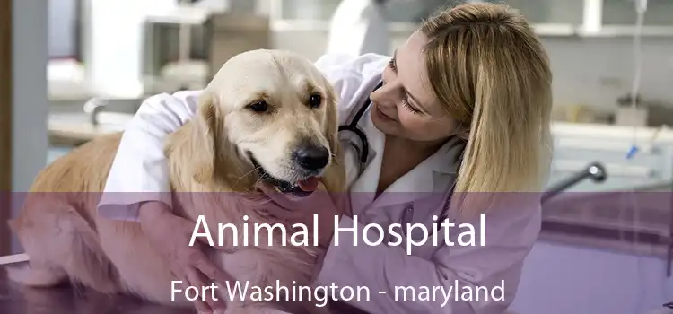 Animal Hospital Fort Washington - maryland