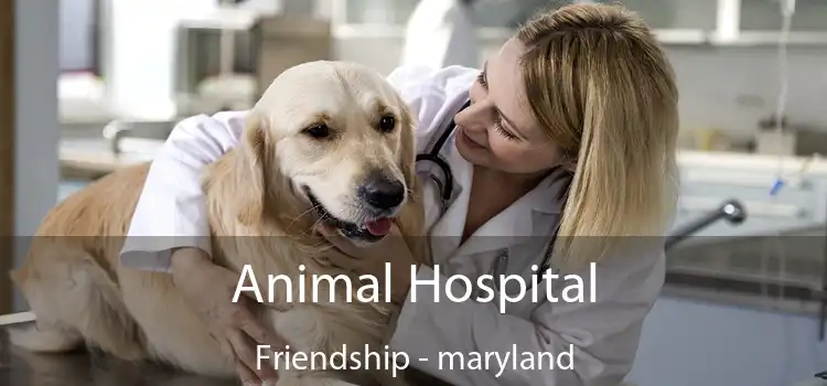 Animal Hospital Friendship - maryland