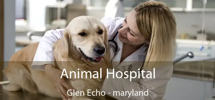 Animal Hospital Glen Echo - maryland