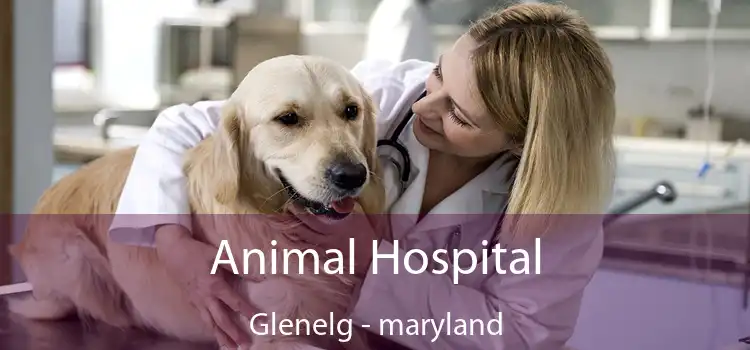 Animal Hospital Glenelg - maryland