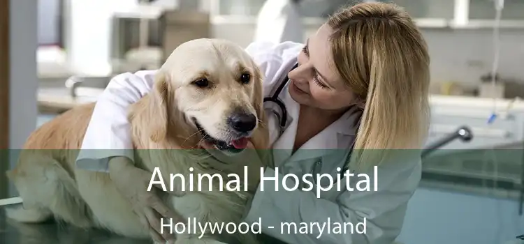 Animal Hospital Hollywood - maryland