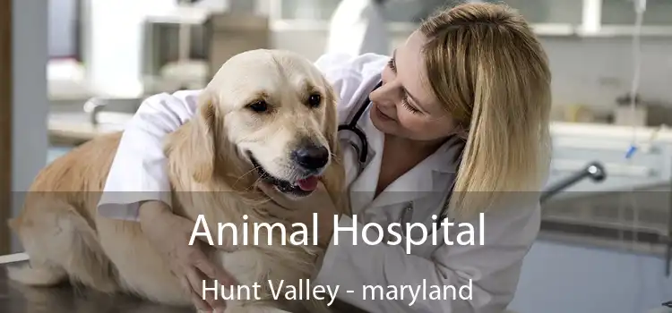 Animal Hospital Hunt Valley - maryland