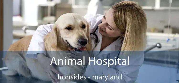 Animal Hospital Ironsides - maryland