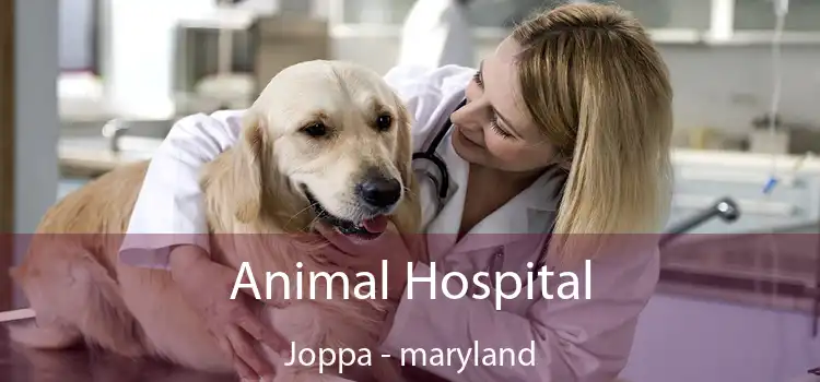 Animal Hospital Joppa - maryland