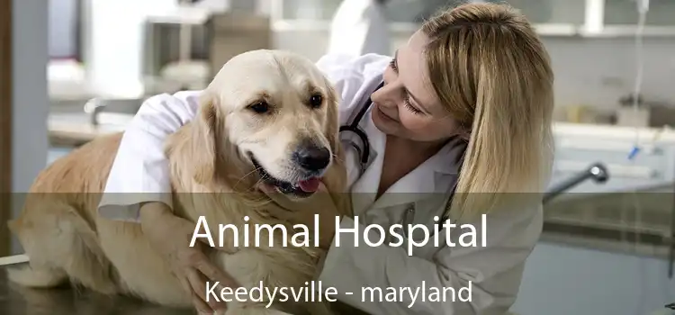 Animal Hospital Keedysville - maryland