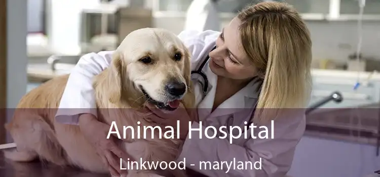 Animal Hospital Linkwood - maryland