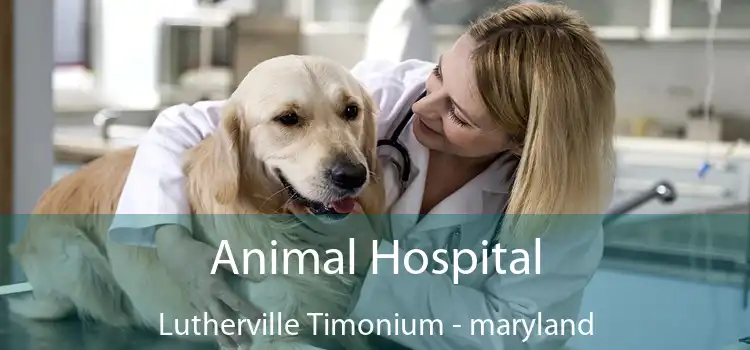 Animal Hospital Lutherville Timonium - maryland