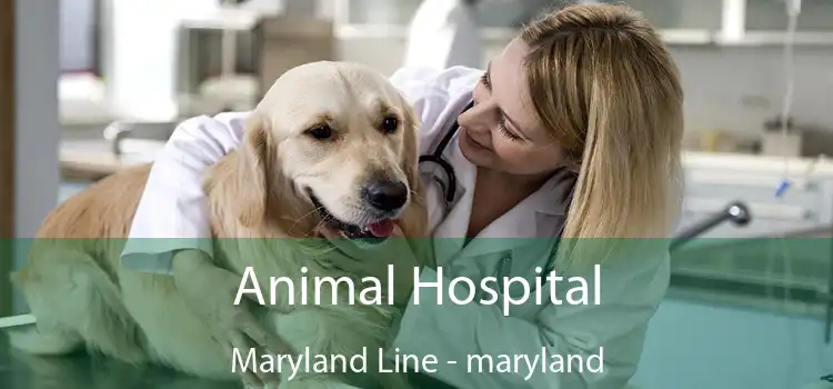 Animal Hospital Maryland Line - maryland