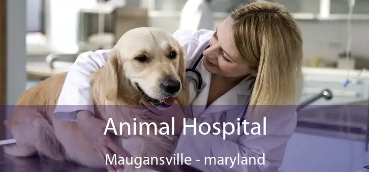 Animal Hospital Maugansville - maryland