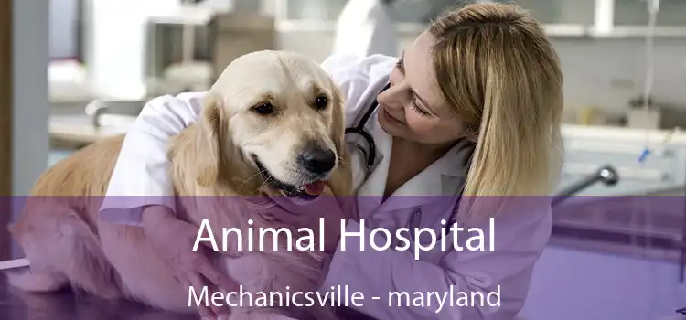 Animal Hospital Mechanicsville - maryland