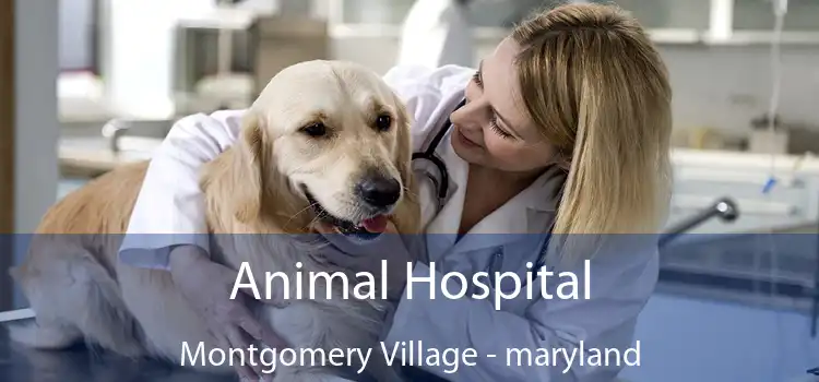 Animal Hospital Montgomery Village - maryland